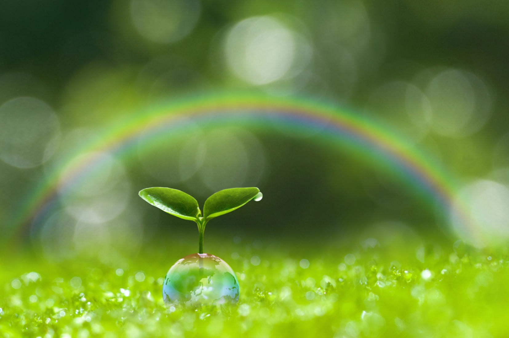 Är du hållbar lille vän?