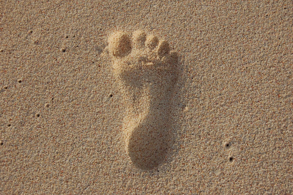 Zonterapi